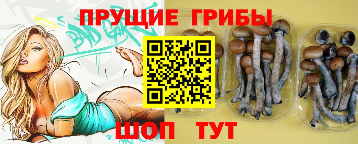 Псилоцибиновые грибы GOLDEN TEACHER  Псилоцибиновые грибы Psilocybe  Вход с VPN  Лесной 